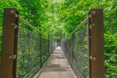 Footbridge amidst trees in forest