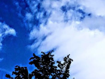 Low angle view of tree against sky