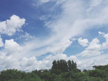 Low angle view of trees against sky