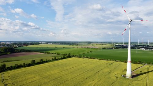 Scenic view of agricultural field against sky