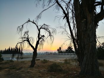 Silhouette bare tree against sky during sunset