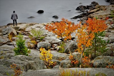 People standing on rock by plants during autumn