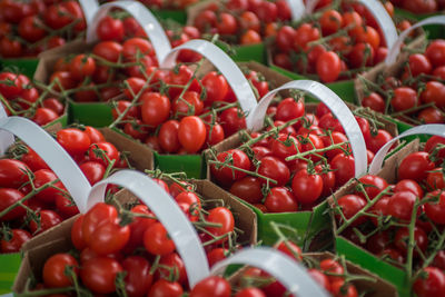 Close-up of tomatoes for sale at market stall