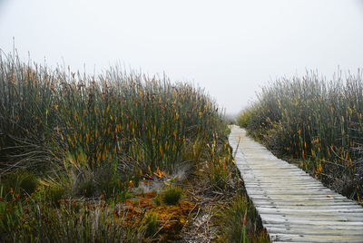 Boardwalk on field against clear sky