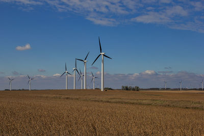 Ripe soybean field with wind turbines.