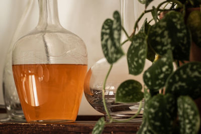 Close-up of beer glass on table