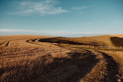 Scenic view of agricultural field against sky