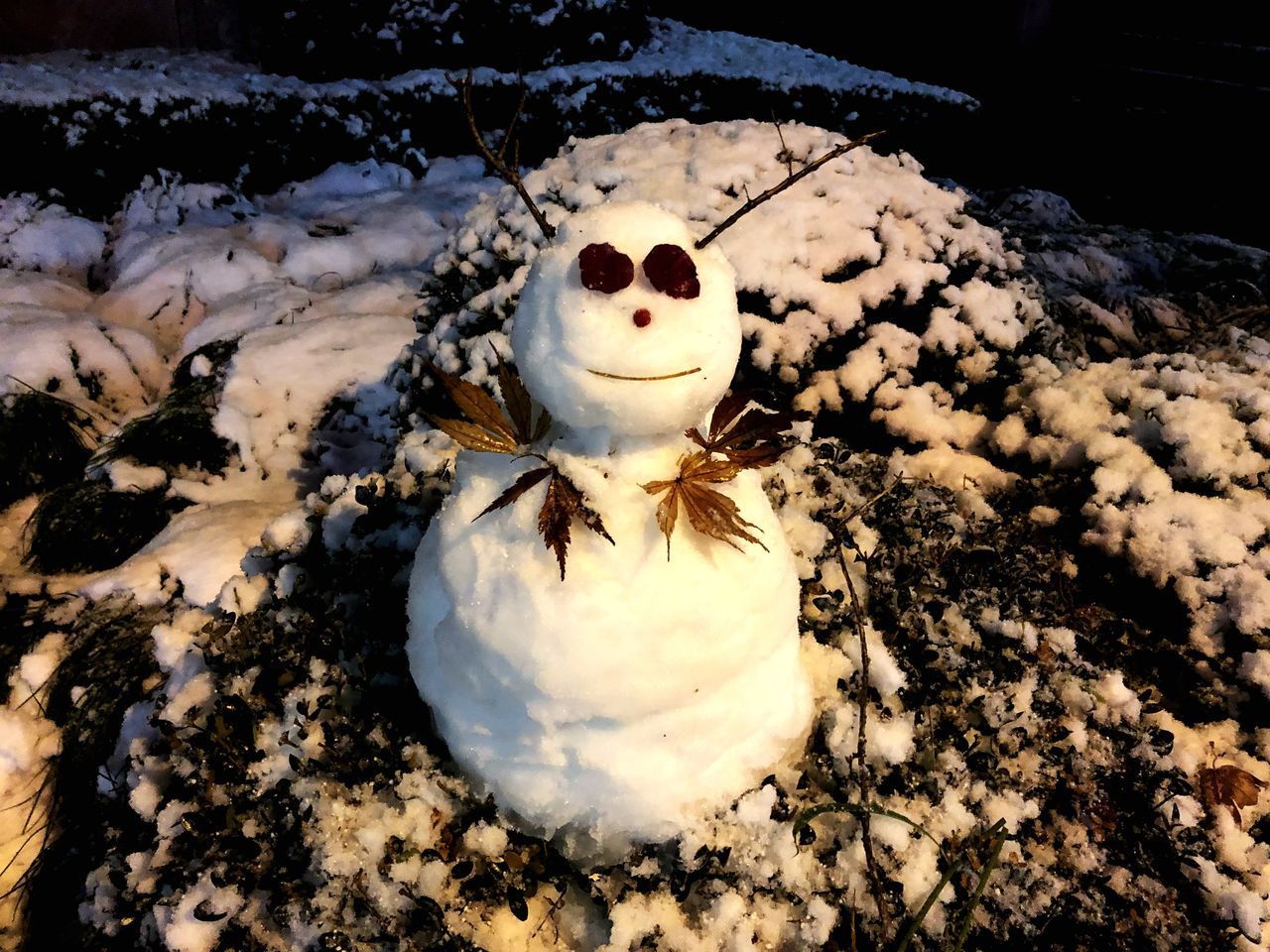 human representation, no people, snowman, high angle view, snow, outdoors, close-up, day, winter, cold temperature, nature