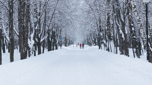 Snow covered field