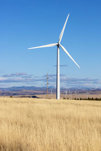 Wind turbines in a field with blue sky