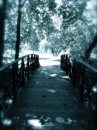 Footbridge leading towards trees