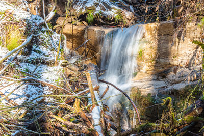 Scenic view of waterfall in forest