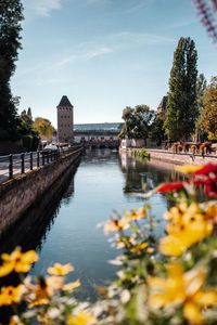 Scenic view of river by buildings against sky