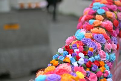 Close-up of multi colored flowers for sale