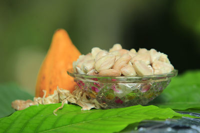 Close-up of orange leaves on leaf