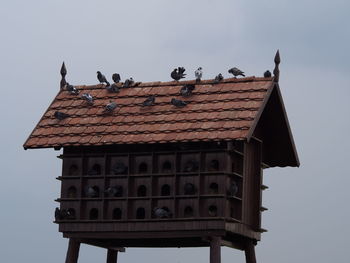 Low angle view of birds perching on roof against sky