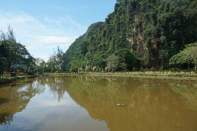 Scenic view of lake by trees against sky