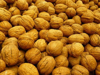 In-shell walnuts are drupes of the genus juglans