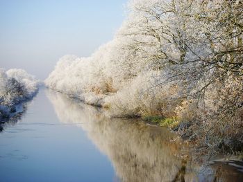 Close-up of frozen lake against sky