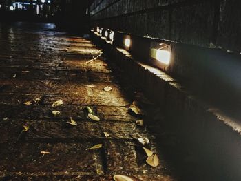 Wet illuminated tree at night