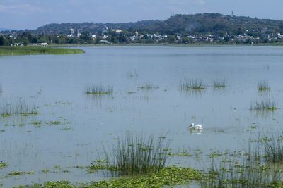 Scenic view of lake