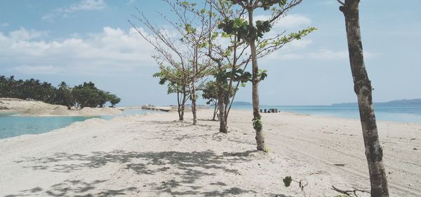 This one's taken from lagoon, matayum, masbate, philippines. a developing tourist spots 