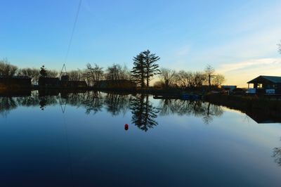 Reflection of trees in calm lake