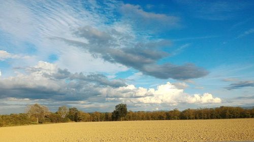 Scenic view of field against clear sky