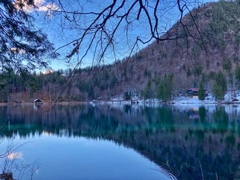 Scenic view of lake by trees against sky