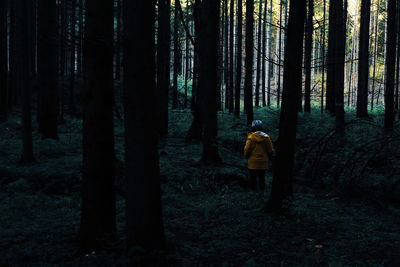 Rear view of woman walking in forest