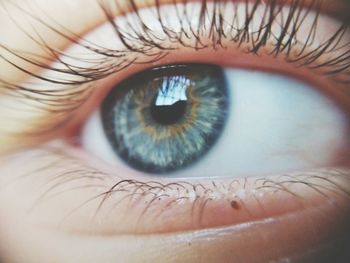 Close-up of woman eye