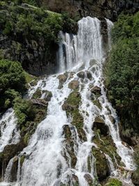 Scenic view of waterfall in forest