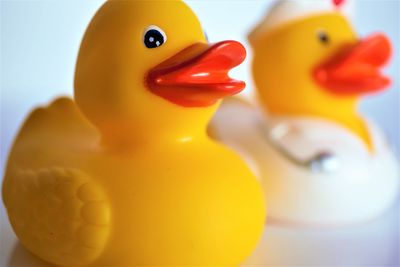 Close-up of rubber ducks against wall