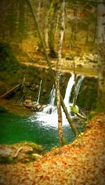 Stream flowing in landscape