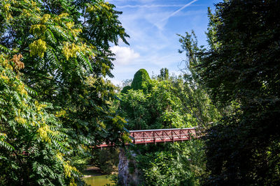 Plants and trees by building against sky