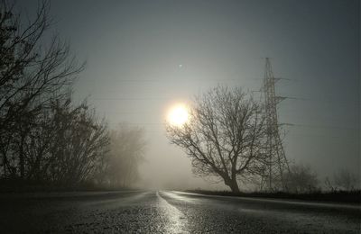 Bare trees by road against sky during foggy weather