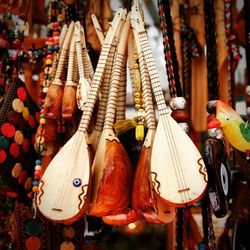 Stringed instruments for sale at store