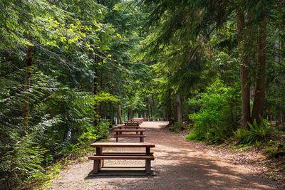 Empty bench in park