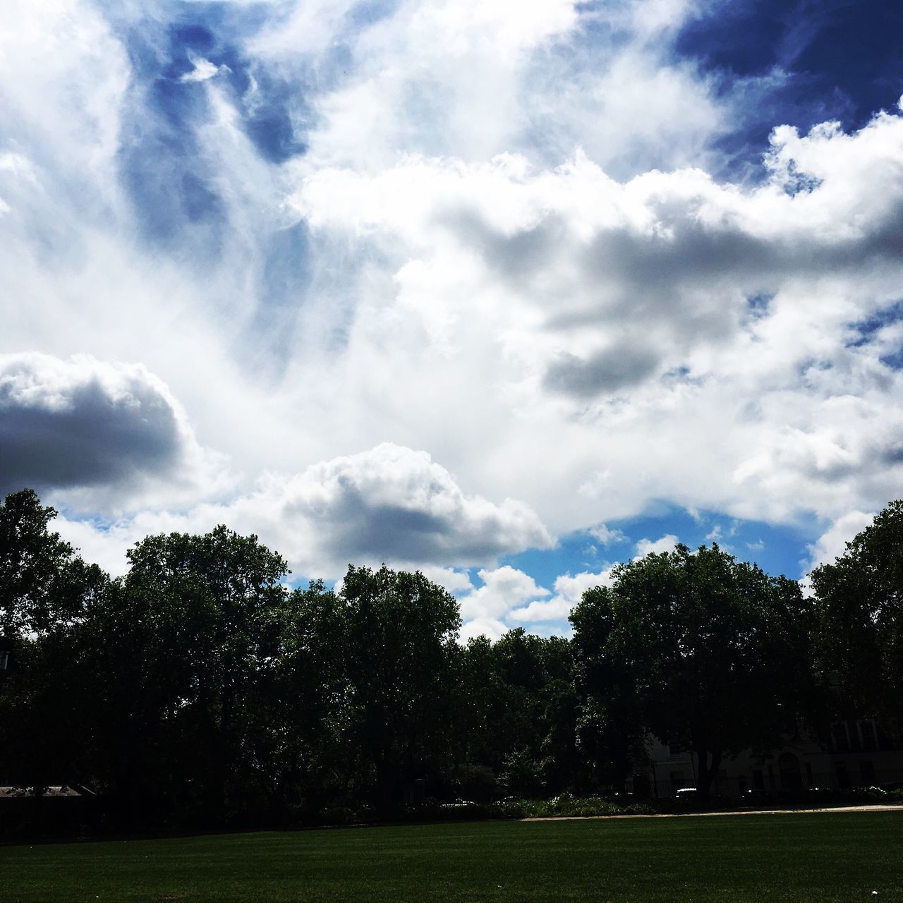 tree, sky, grass, tranquil scene, tranquility, landscape, field, cloud - sky, beauty in nature, green color, scenics, nature, cloud, grassy, growth, cloudy, day, outdoors, idyllic, lush foliage, non-urban scene, green, no people, park, blue, remote, lawn