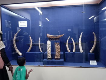 Rear view of people hanging on wall in museum