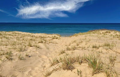 Beach path at cape cod national seashore