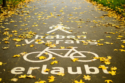 Close-up of autumn leaves on footpath