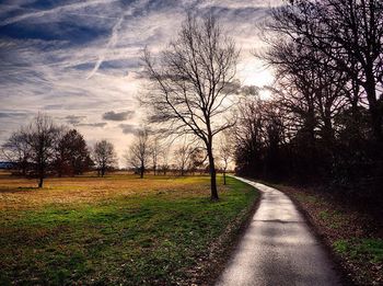 Road passing through field