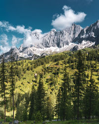 Day photo of a green forest and rocky mountain with clouds and snow in the background