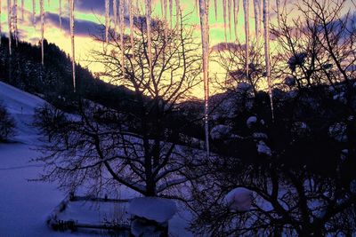 Silhouette bare trees against sky during sunset