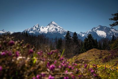 Scenic view of snowcapped mountains against clear sky