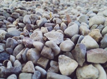 Close-up of stones on field