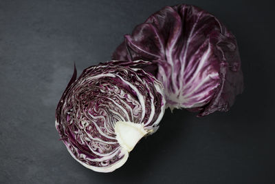 Close-up of flower over black background