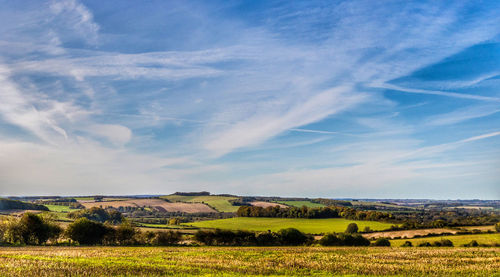 Scenic view of field against sky