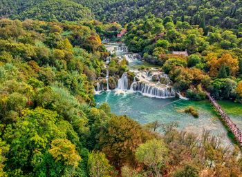 High angle view of river amidst trees in forest